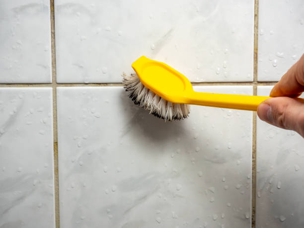Reliable Charlestown, IN Mold Removal Solutions