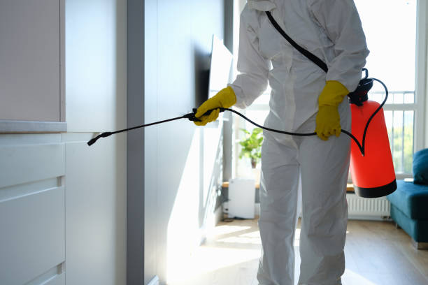 Best Mold Removal Company Near Me  in Charlestown, IN